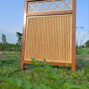 A06 Lattice Privacy