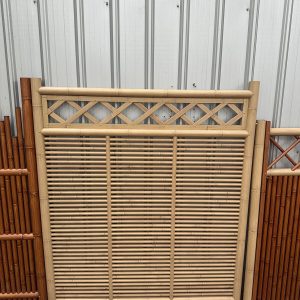 A10 Lattice Privacy