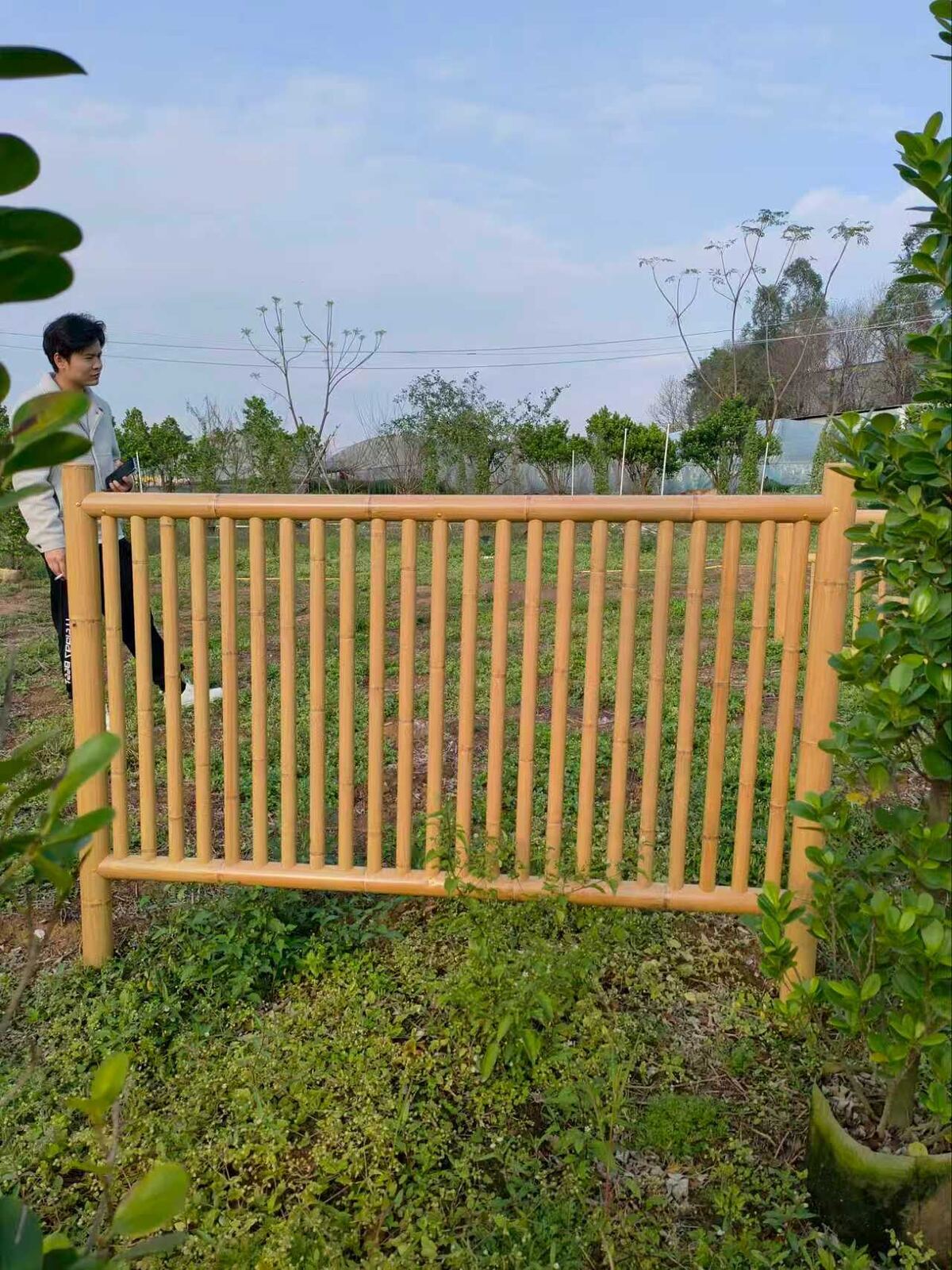 A31-GARDEN-RAIL-1 A31 Garden Rail