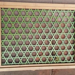 C01-BAMBOO-WEAVING-3 C01 Bamboo Weaving